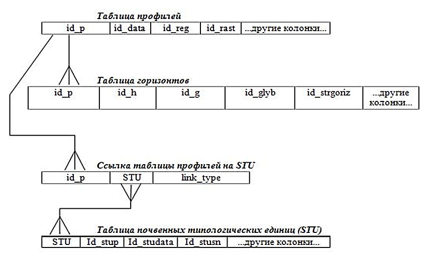 soil-db-structure.jpg