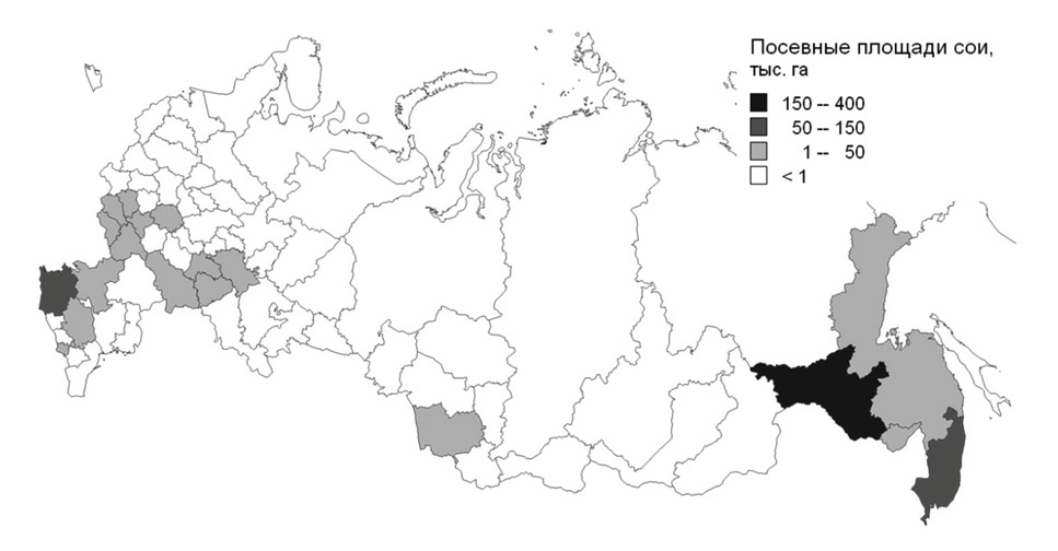 ris3-1.jpg