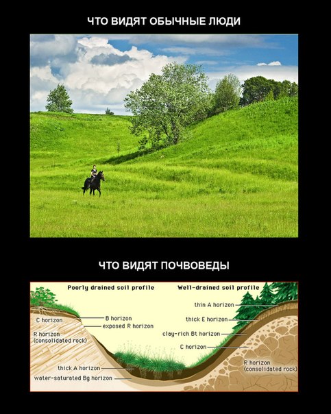 Почвовед - это больше, чем профессия =)