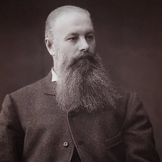 dokuchaev-vv.jpg