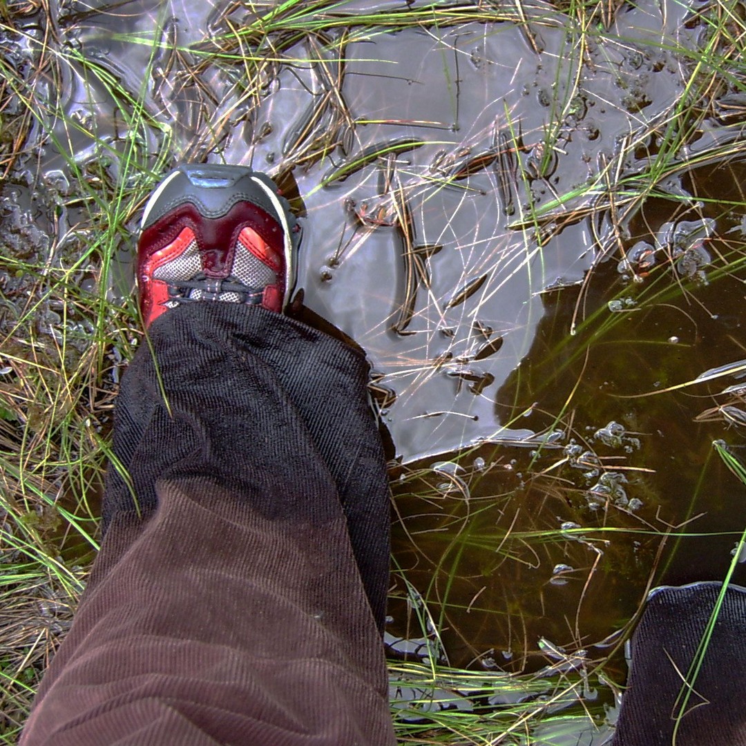 marsh-soil-shoes.jpg