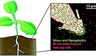 microplastic.png