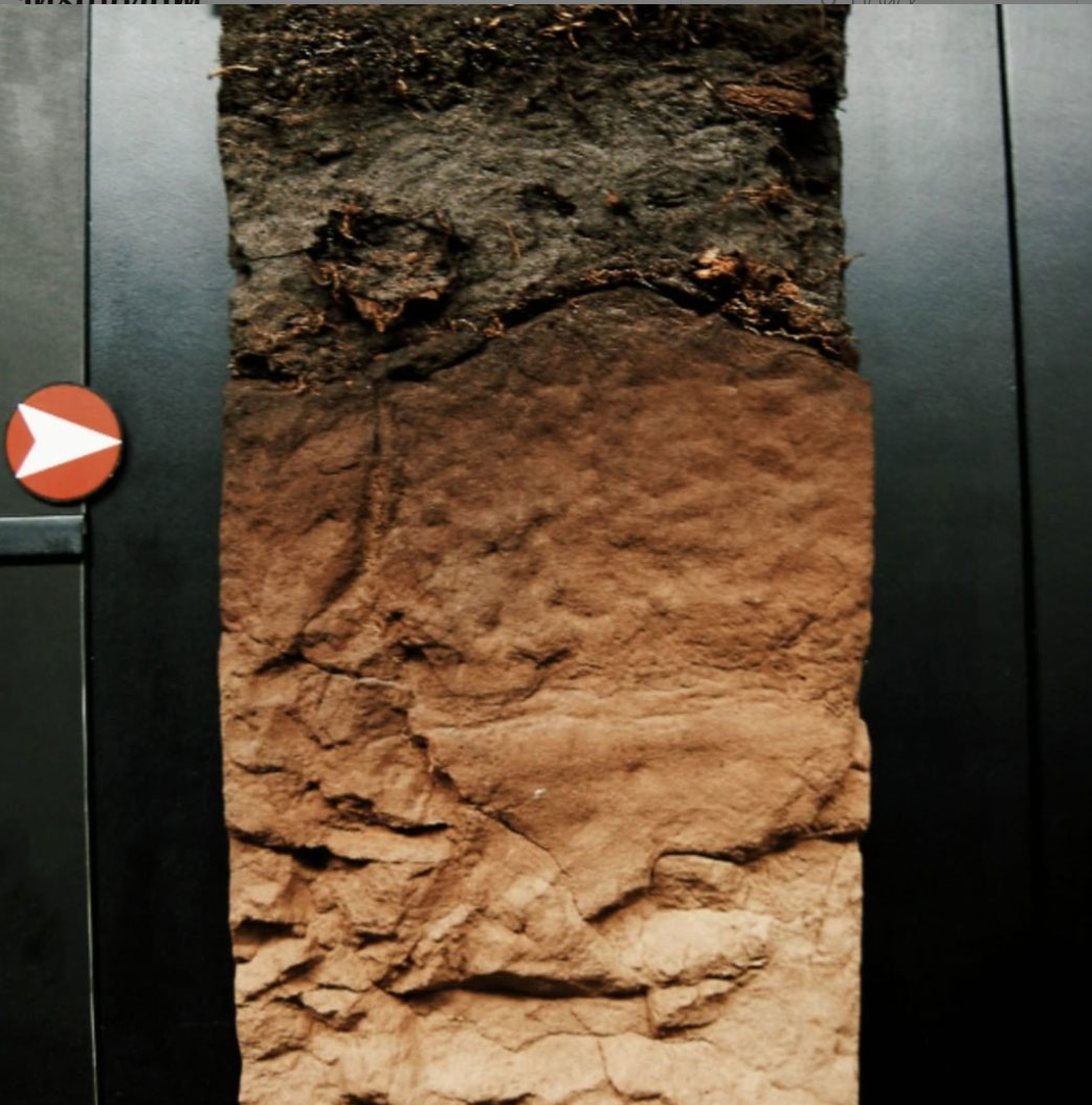 soil-museum-profile.jpg