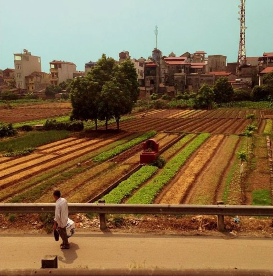 soil-vietnam.jpg