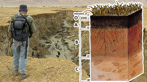 soilcover3.jpg