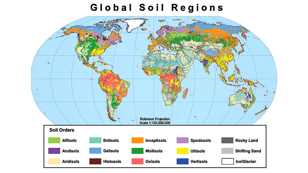 soilcover4.jpg